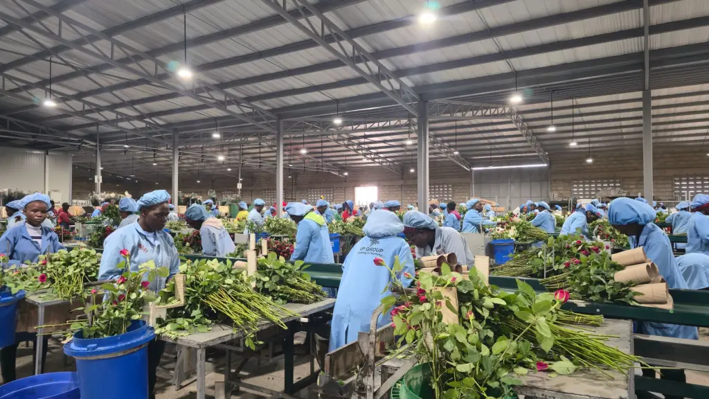 工业废水处理系统设计方案与设备选型要点