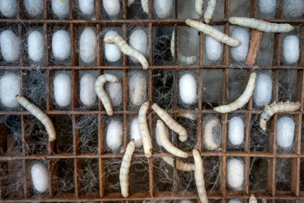 水处理系统设计中常见的达标排放难点与工艺优化思路解析