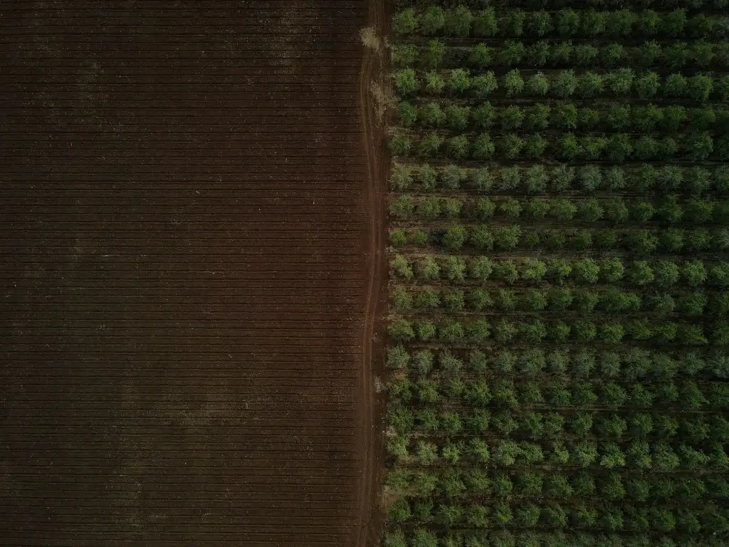 工业废水处理中气浮与沉淀工艺的选型对比分析